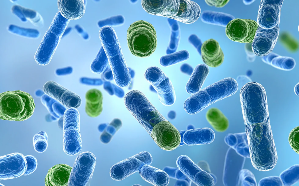 Why Do Some People Remain Sharp at 100 While Others Are Confused at 50?